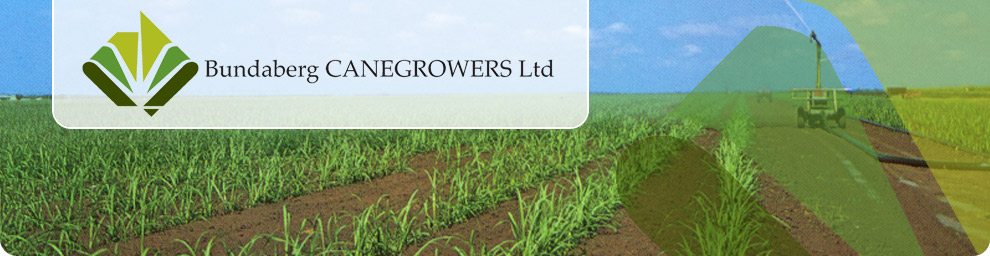 Bundaberg CANEGROWERS